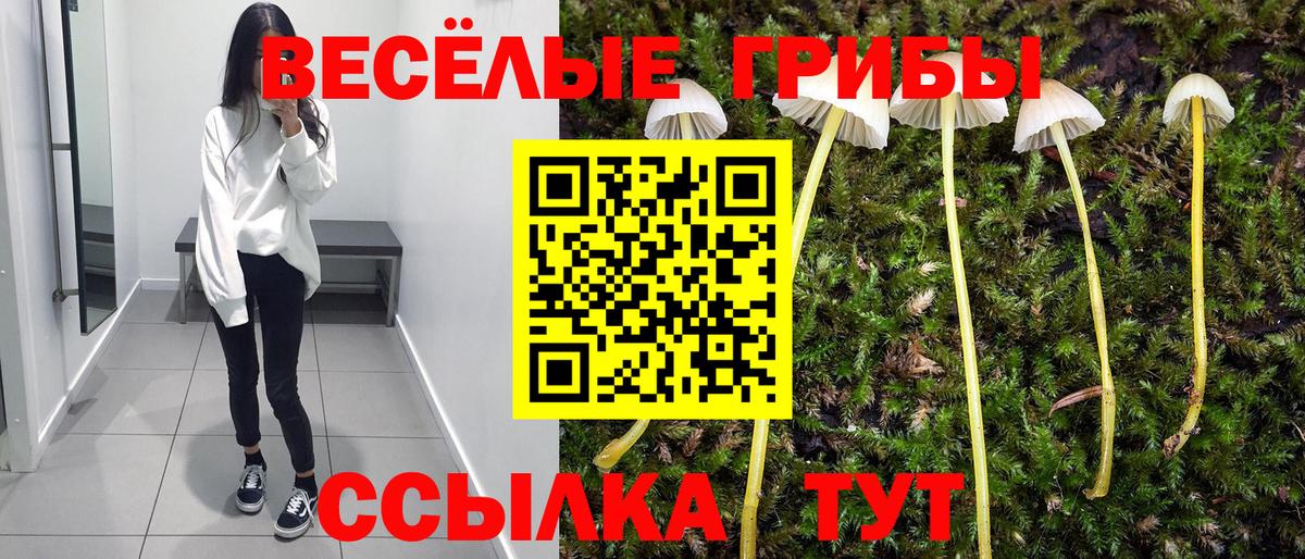 продажа наркотиков  Галлюциногенные грибы Magic Shrooms  Вход с VPN  Псилоцибиновые грибы Cubensis  Аксай 