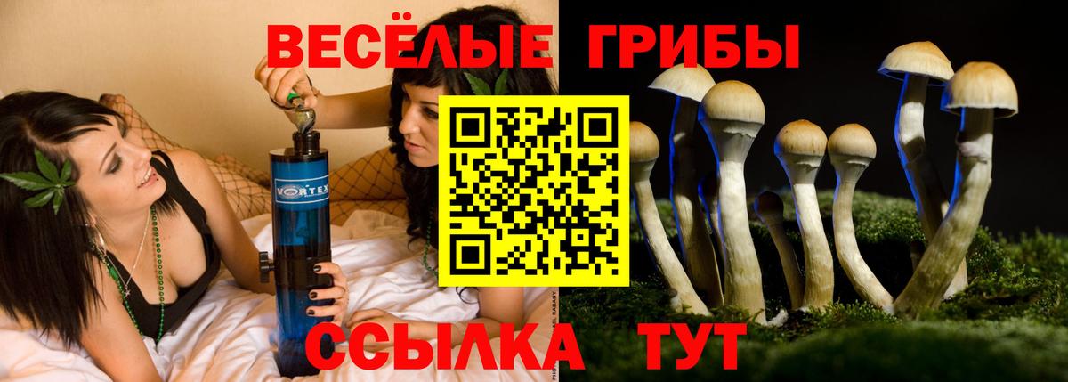 Псилоцибиновые грибы Magic Shrooms Аксай